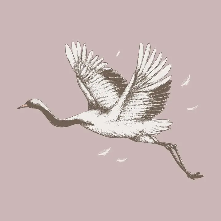 Flying Crane, Aesthetic Art, Animal & Birds, Animal & Birds B