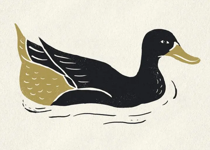 Gold Black Duck, Aesthetic Art, Animal & Birds, Animal & Birds B