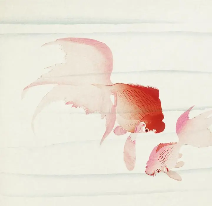 Gold Fish 1900-1936, Aesthetic Art, Animal & Birds, Animal & Birds B