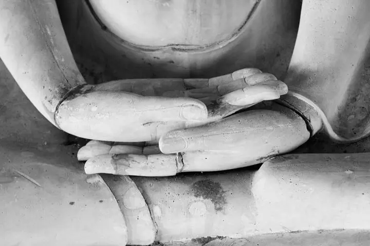 Gray Buddha Hand, Religious, Buddha