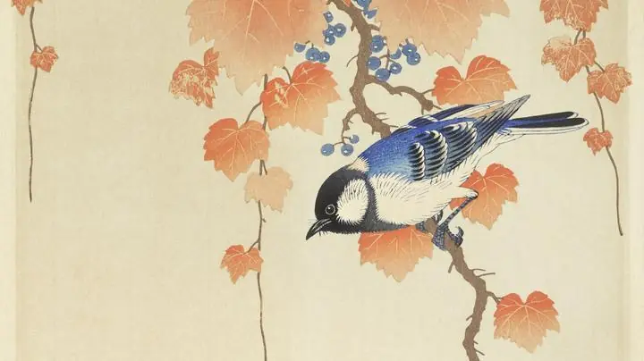 Great Tit, Aesthetic Art, Animal & Birds, Animal & Birds B