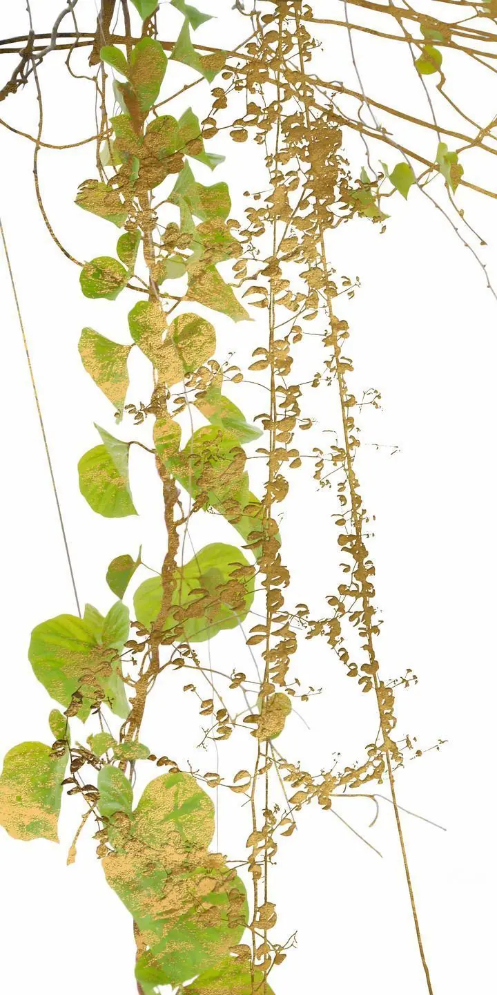 Green Brown Vines, Wall Art, Decor Wall Art, Decor Wall Art G