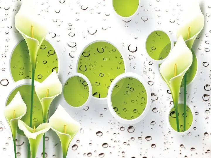 Green Calla Lilies, Wallpaper, Old 3D