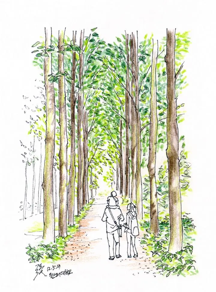 Green Forest Path, Wall Art, Line Art