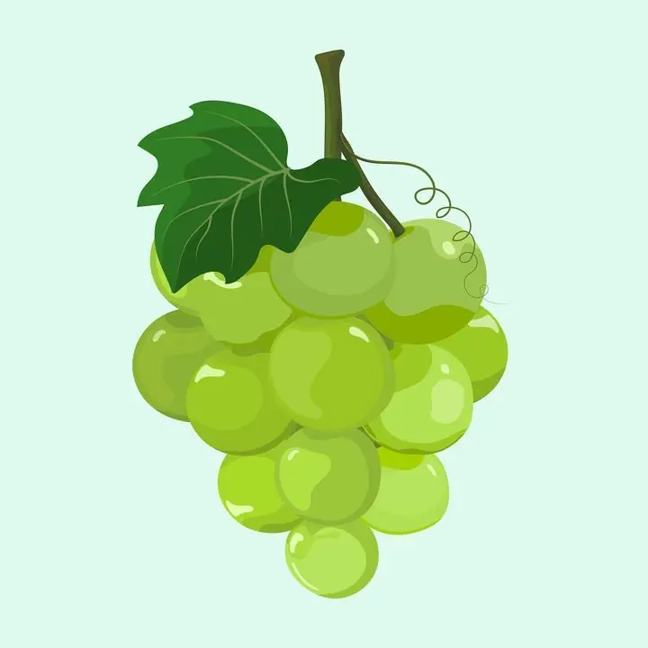 Green Grapes Bunch, Aesthetic Art, Fruits