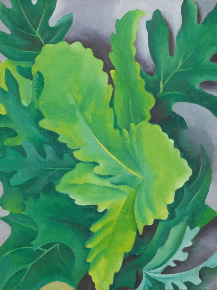 Green Oak Leaves (1923)