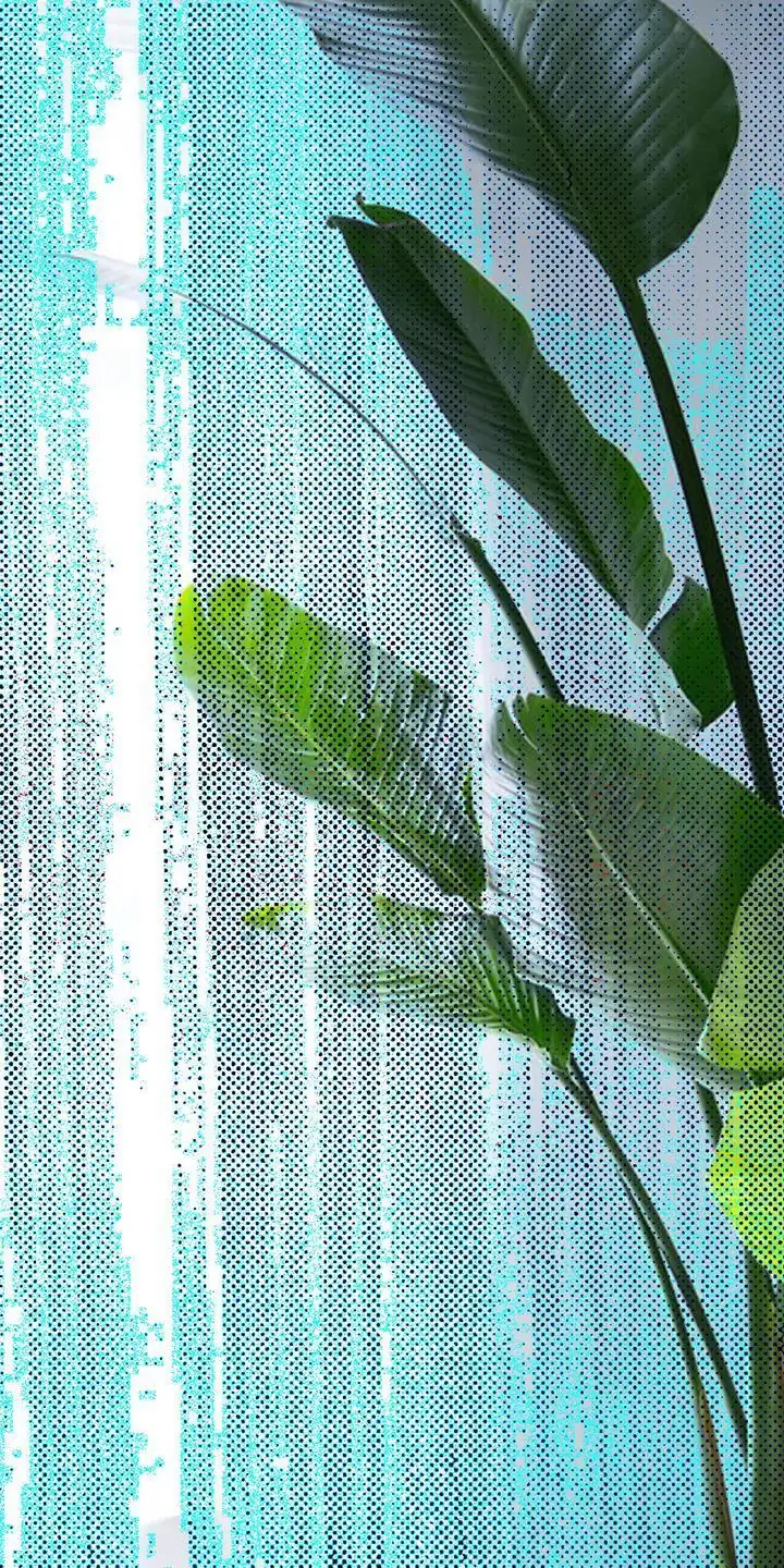 Green Plant Leaves 3, Wall Art, Decor Wall Art, Decor Wall Art G