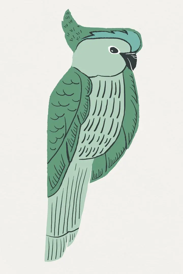 Green Parrot, Aesthetic Art, Animal & Birds, Animal & Birds B