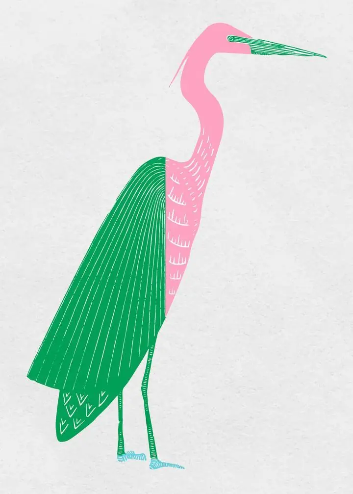 Green Pink Heron, Aesthetic Art, Animal & Birds, Animal & Birds B