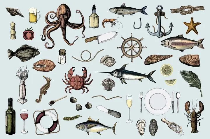Hand Drawn Of Seafood Concept, Aesthetic Art, Animal & Birds, Animal & Birds B