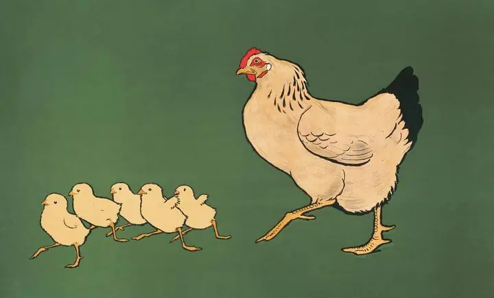 Hen Chickens, Aesthetic Art, Animal & Birds, Animal & Birds B