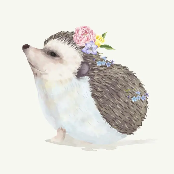 Illustration Of A Baby Hedgehog, Aesthetic Art, Animal & Birds, Animal & Birds B