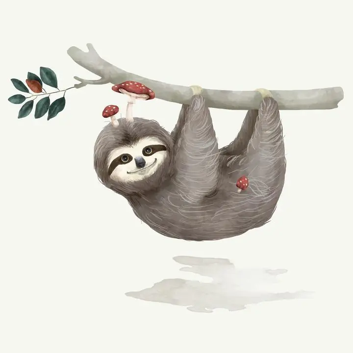 Illustration Of A Sloth, Aesthetic Art, Animal & Birds, Animal & Birds B