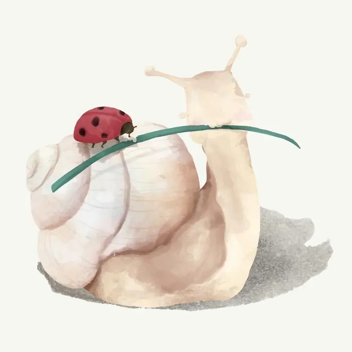 Illustration Of A Snail, Aesthetic Art, Animal & Birds, Animal & Birds B