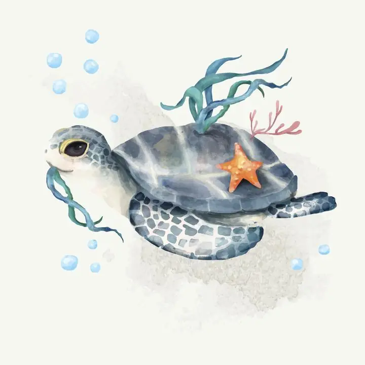Illustration Of Turtle, Aesthetic Art, Animal & Birds, Animal & Birds B