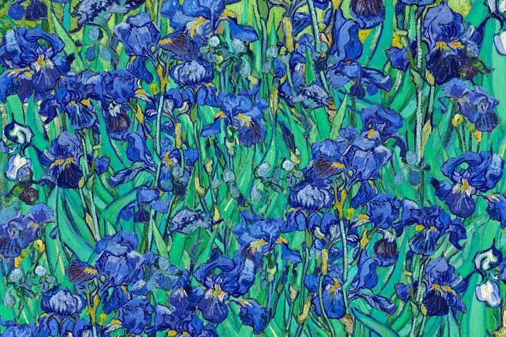 Irises Background 2, Paintings, Van Gogh