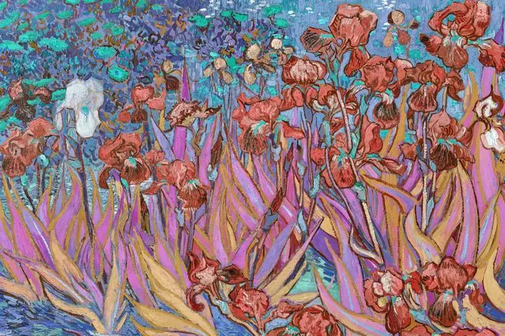 Irises Background, Paintings, Van Gogh