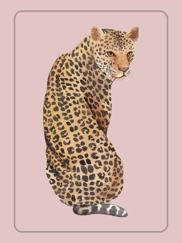 Jaguar, Aesthetic Art, Animal & Birds, Animal & Birds B