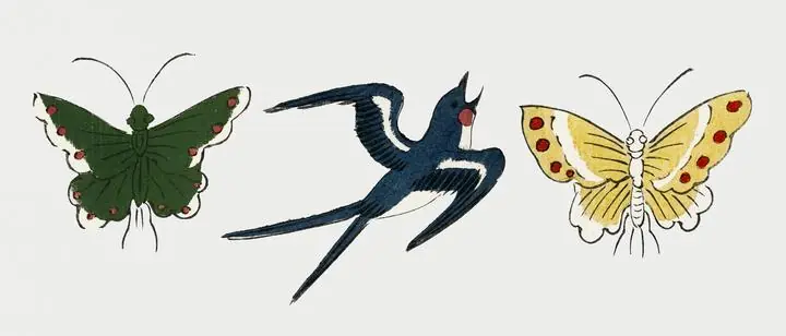 Japanese Bird And Butterflies, Aesthetic Art, Animal & Birds, Animal & Birds B