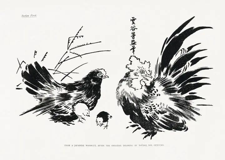 Japanese Chickens- Ink, Aesthetic Art, Animal & Birds, Animal & Birds B