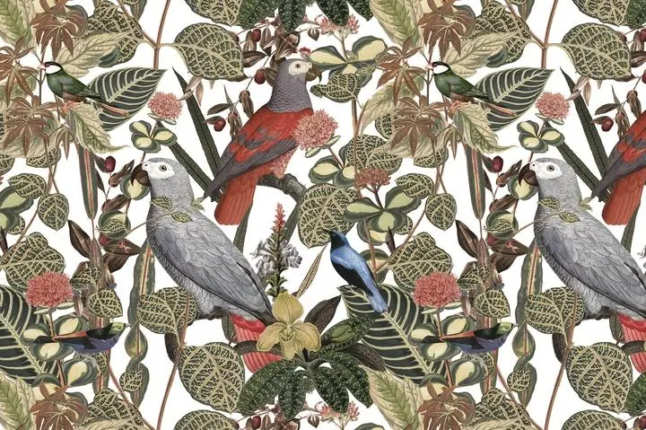 Jungle Bird, Aesthetic Art, Animal & Birds, Animal & Birds B