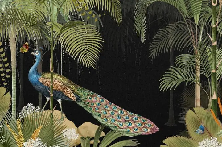 Jungle Peacock Bird, Aesthetic Art, Animal & Birds, Animal & Birds B