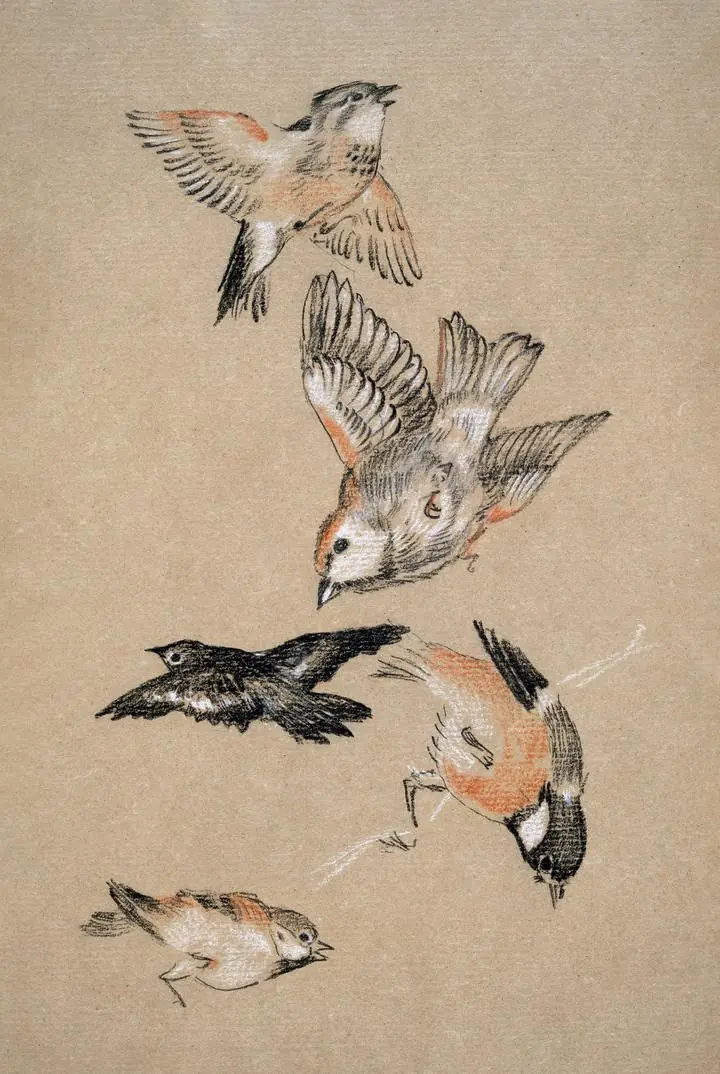Love Leading The Pilgrim, Aesthetic Art, Animal & Birds, Animal & Birds B