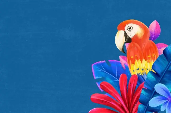 Macaw Bird Border, Aesthetic Art, Animal & Birds, Animal & Birds B