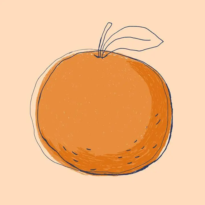 Orange Fruit Illustration 2, Aesthetic Art, Fruits