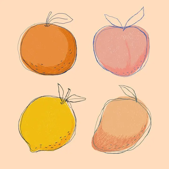 Orange Fruit Pink Yellow Lemon Brown, Aesthetic Art, Fruits