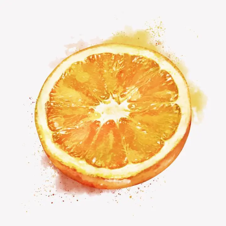 Orange Fruit Slice 7, Aesthetic Art, Fruits