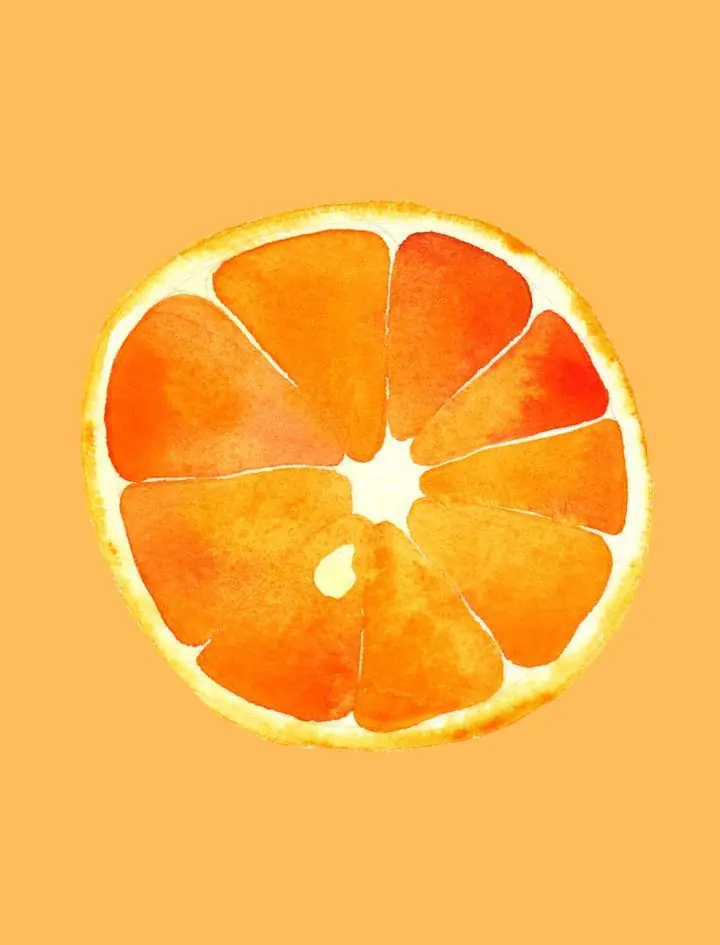 Orange Fruit Slice, Aesthetic Art, Fruits