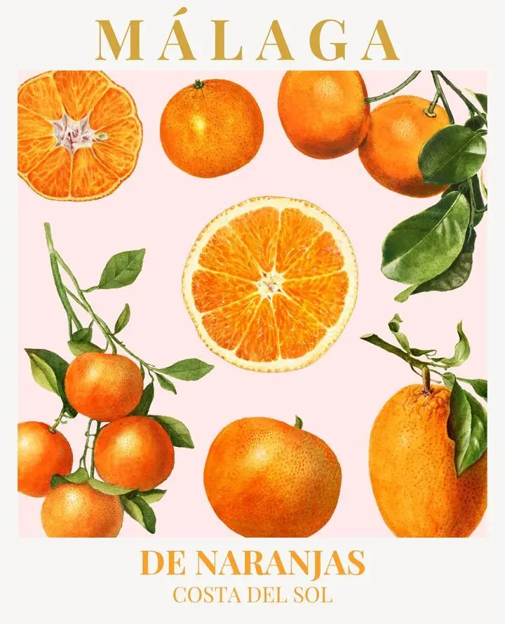 Orange Oranges 3, Aesthetic Art, Fruits