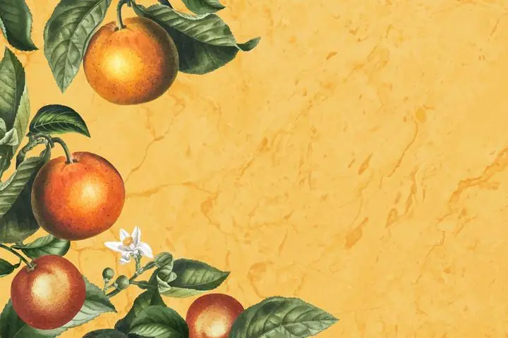 Orange Oranges Leaves, Aesthetic Art, Fruits
