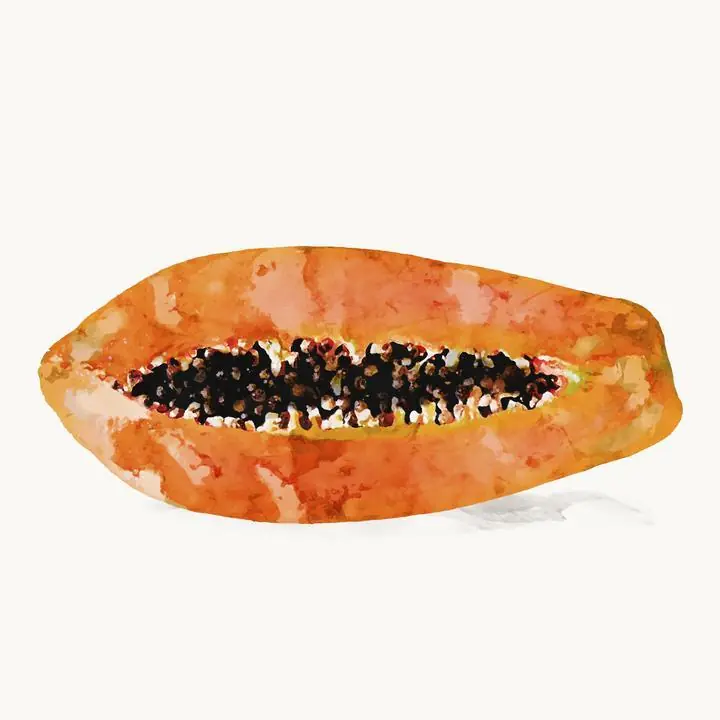 Orange Papaya Half 2, Aesthetic Art, Fruits