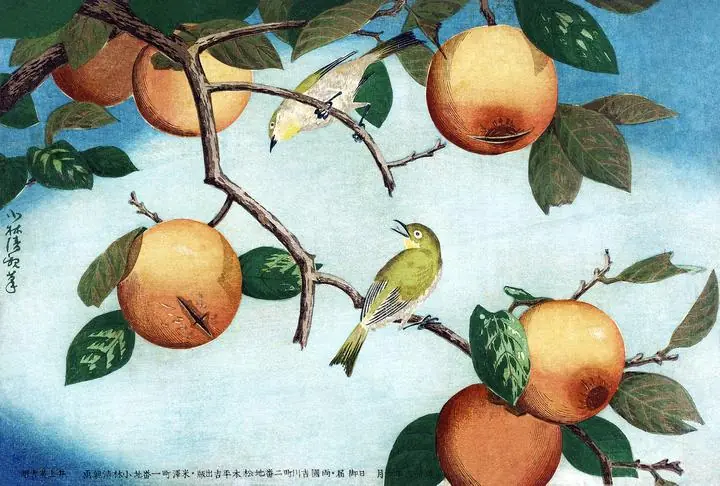 Orange Peach Tree Birds, Aesthetic Art, Fruits