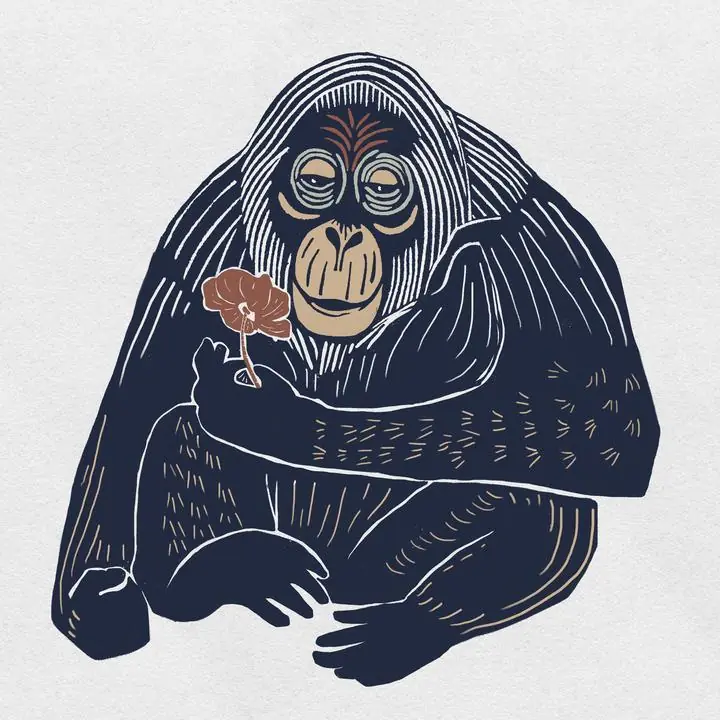 Orangutan, Aesthetic Art, Animal & Birds, Animal & Birds B