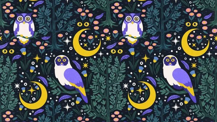 Owl, Aesthetic Art, Animal & Birds, Animal & Birds B