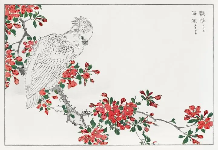 Parrot And Pyrus Spectabilis, Aesthetic Art, Animal & Birds, Animal & Birds B