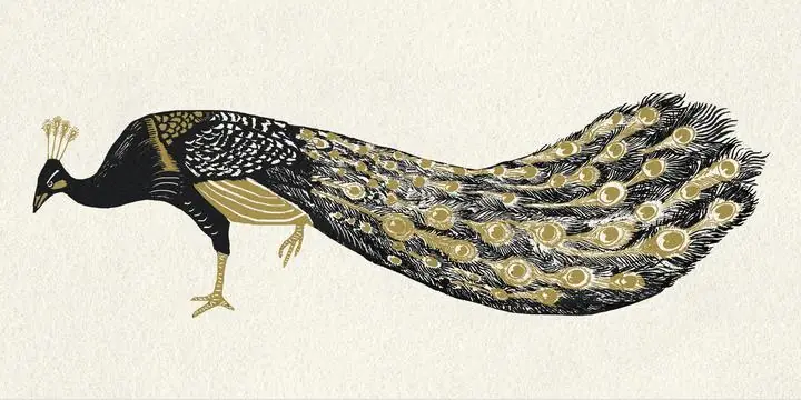 Peacock, Aesthetic Art, Animal & Birds, Animal & Birds B