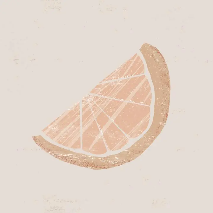 Pink Lemon Slice, Aesthetic Art, Fruits