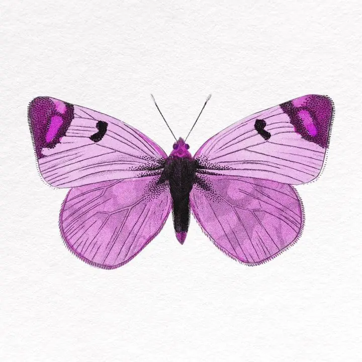 Pink Butterfly Collage, Aesthetic Art, Animal & Birds, Animal & Birds B