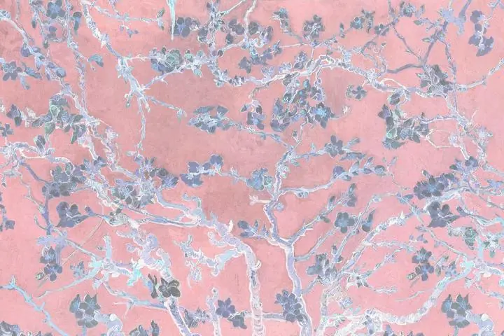Pink Flower Background Almond Blossom, Paintings, Van Gogh