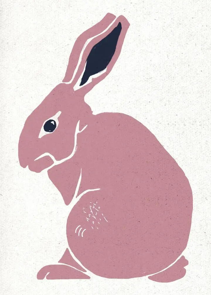Pink Rabbit, Aesthetic Art, Animal & Birds, Animal & Birds B