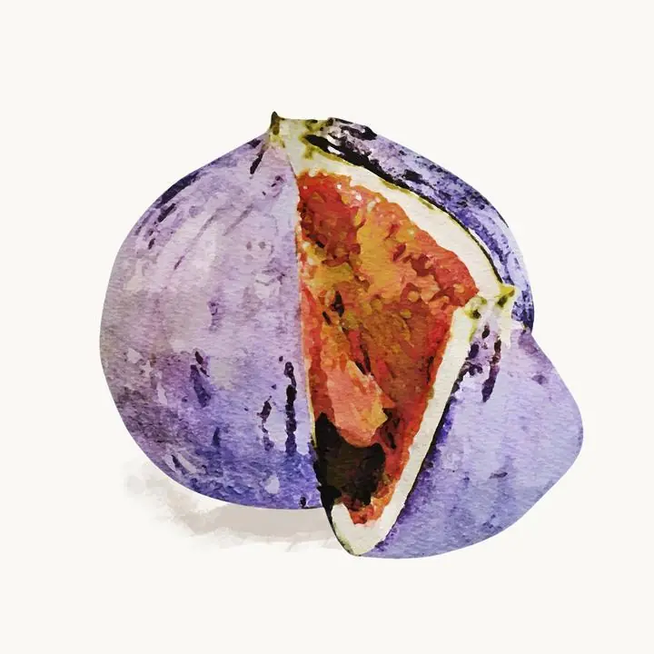 Purple Cut Fig, Aesthetic Art, Fruits