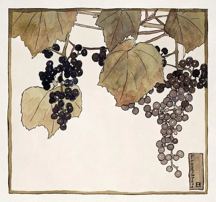 Purple Grapes Cluster 2, Aesthetic Art, Fruits