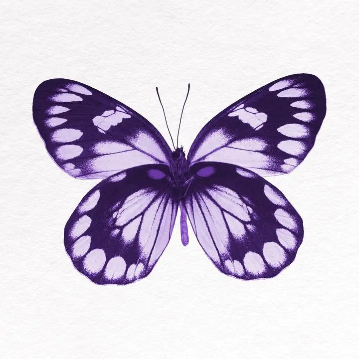 Purple Butterfly Collage Element, Aesthetic Art, Animal & Birds, Animal & Birds B