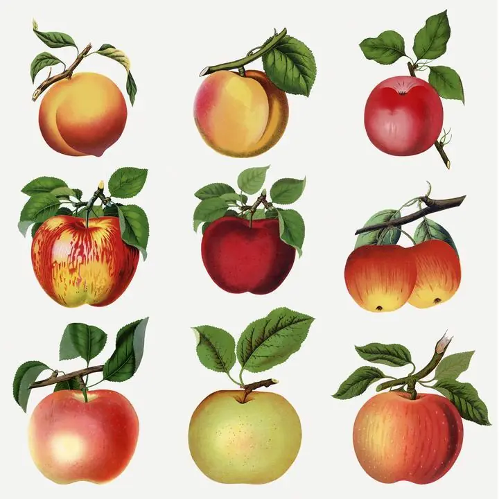 Red Apple 3, Aesthetic Art, Fruits