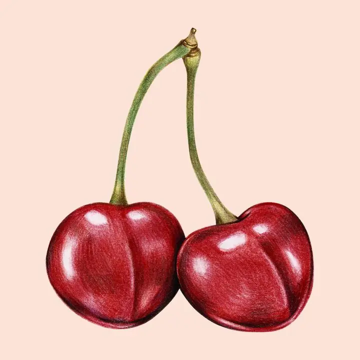 Red Cherries 7, Aesthetic Art, Fruits