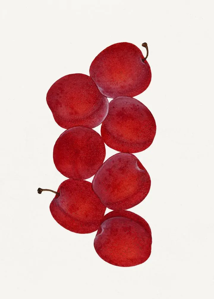 Red Grapes Cluster, Aesthetic Art, Fruits
